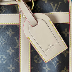 LV PET CARRIER CASE