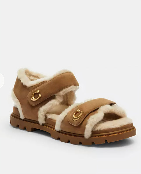 brown-3