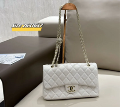 Chanel cross body Bag